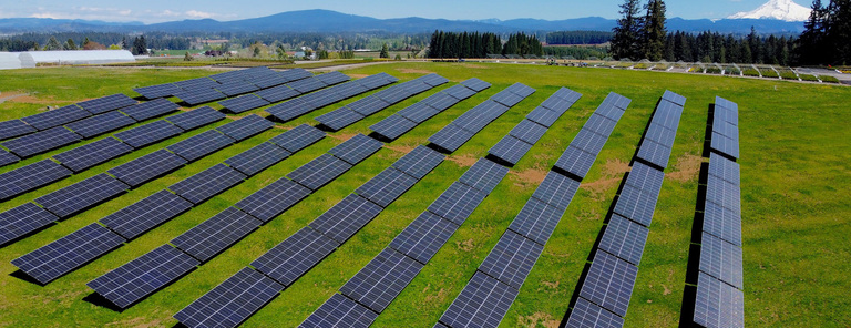 Iseli Nursery - Oregon, 875 kW AC